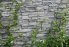 Spring Grovegreen-walls-4.jpg; ?>